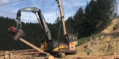 harvesting-and-log-marketing.jpeg